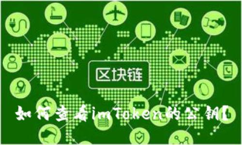 如何查看imToken的公钥?