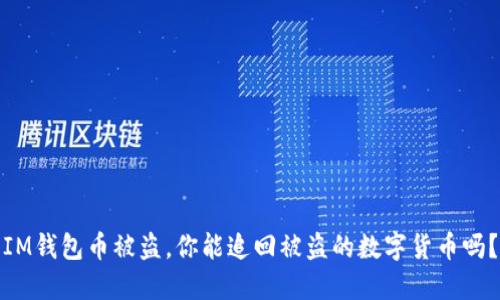 IM钱包币被盗,你能追回被盗的数字货币吗?