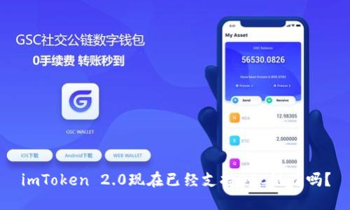 imToken 2.0现在已经支持BSC链了吗?