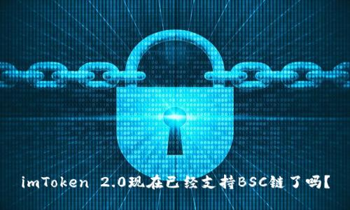imToken 2.0现在已经支持BSC链了吗?