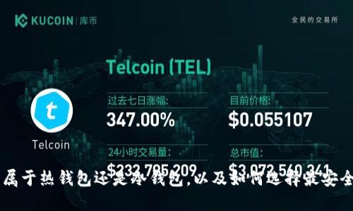 IM钱包属于热钱包还是冷钱包,以及如何选择最安全的钱包