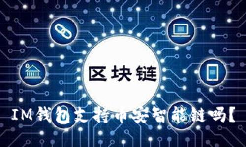 IM钱包支持币安智能链吗?