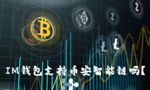 IM钱包支持币安智能链吗?