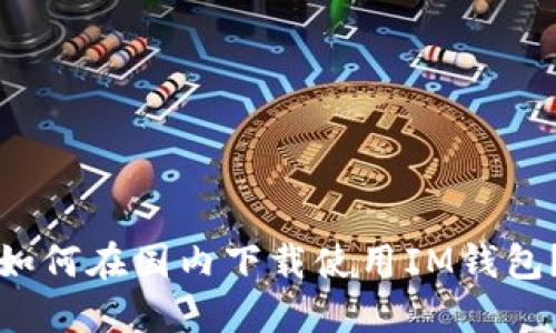如何在国内下载使用IM钱包?