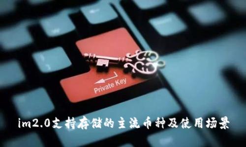 im2.0支持存储的主流币种及使用场景