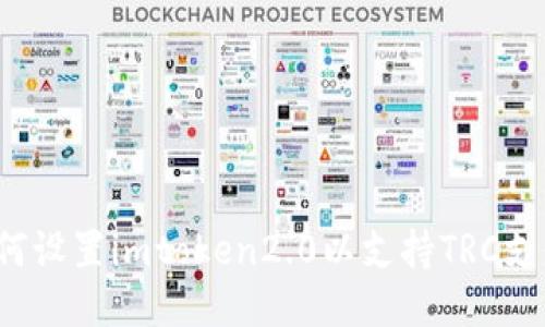 如何设置imtoken2.0以支持TRC支付?