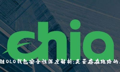 区块链OLO钱包安全性深度解析:是否存在跑路的风险?