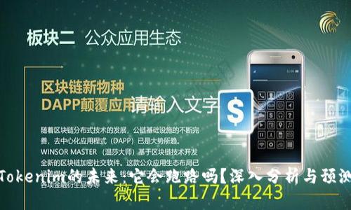 Tokenim的未来:它会跑路吗?深入分析与预测