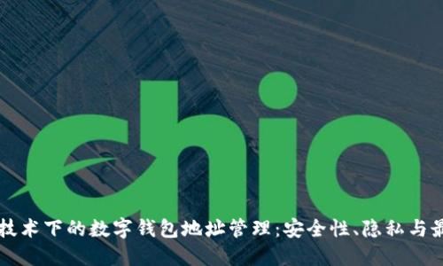 区块链技术下的数字钱包地址管理:安全性、隐私与最佳实践