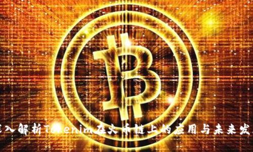 深入解析Tokenim在火币链上的应用与未来发展