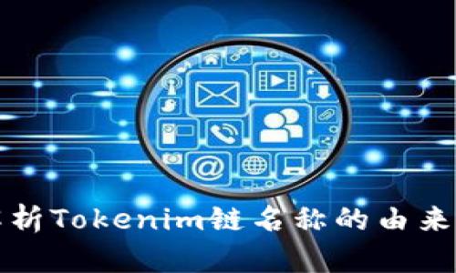 深入解析Tokenim链名称的由来与意义