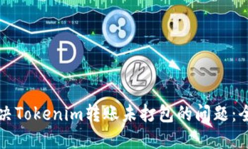 如何解决Tokenim转账未打包的问题:全面指南