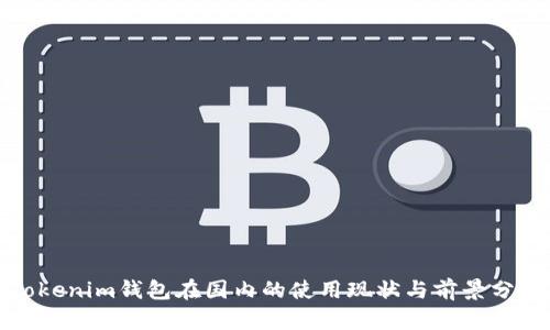 Tokenim钱包在国内的使用现状与前景分析