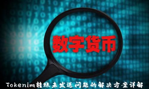 Tokenim转账未发送问题的解决方案详解