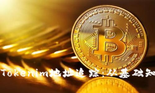 如何有效进行Tokenim地址追踪:从基础知识到实践技巧