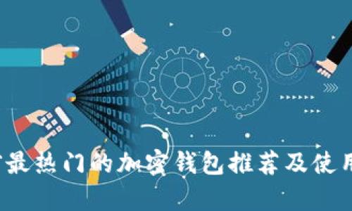 目前最热门的加密钱包推荐及使用指南