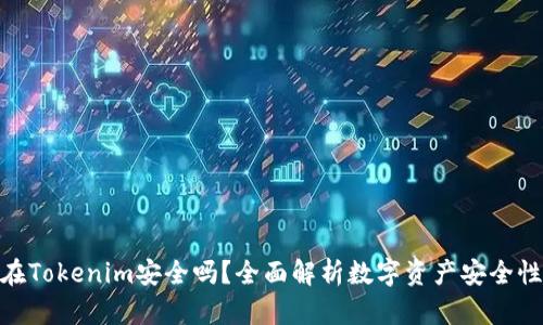 把钱放在Tokenim安全吗?全面解析数字资产安全性与风险