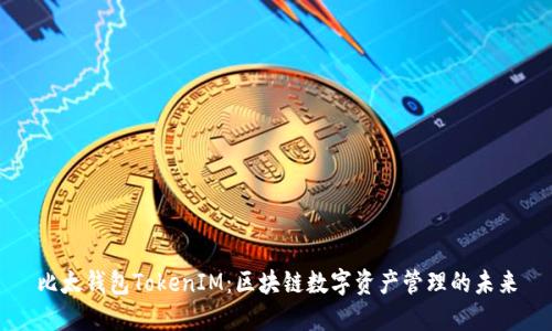 比太钱包TokenIM:区块链数字资产管理的未来