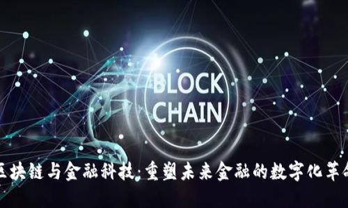 区块链与金融科技：重塑未来金融的数字化革命