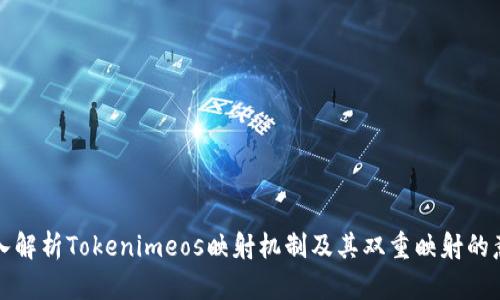 深入解析Tokenimeos映射机制及其双重映射的意义