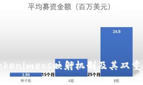深入解析Tokenimeos映射机制及其双重映射的意义