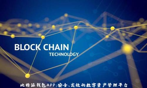 
比特派钱包APP：安全、高效的数字资产管理平台