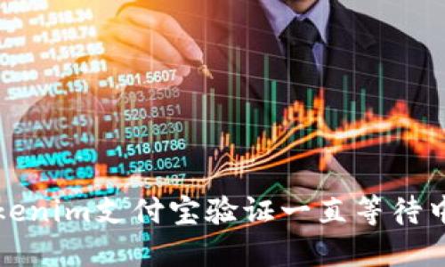 解决Tokenim支付宝验证一直等待中的问题