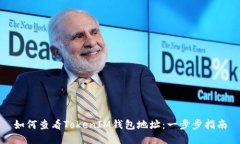 如何查看TokenIM钱包地址：一步步指南