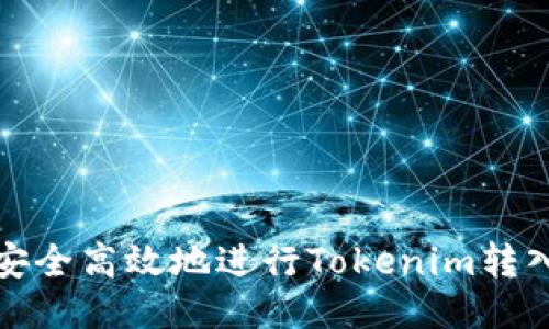 如何安全高效地进行Tokenim转入操作