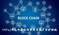 CGPay钱包的安全性分析与用户保护措施