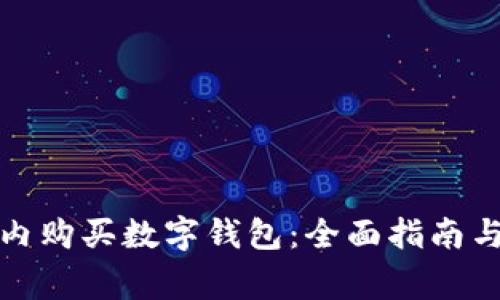 如何在国内购买数字钱包:全面指南与注意事项