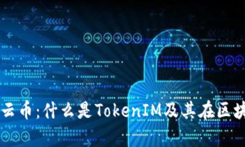 深入解析星云币:什么是TokenIM及其在区块链中的应用