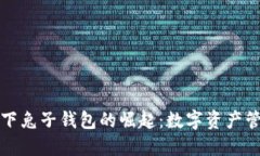 区块链技术下兔子钱包的崛起：数字资