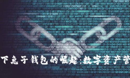 区块链技术下兔子钱包的崛起:数字资产管理的新选择