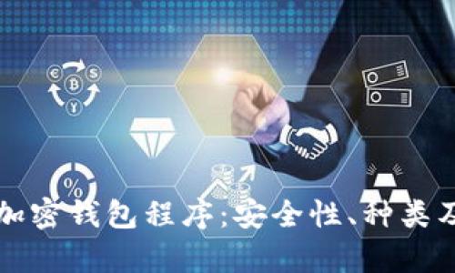 全面解析加密钱包程序:安全性、种类及使用指南