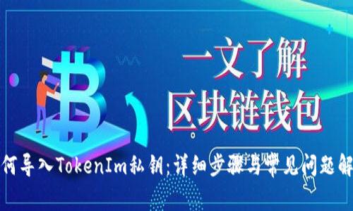 如何导入TokenIm私钥:详细步骤与常见问题解答