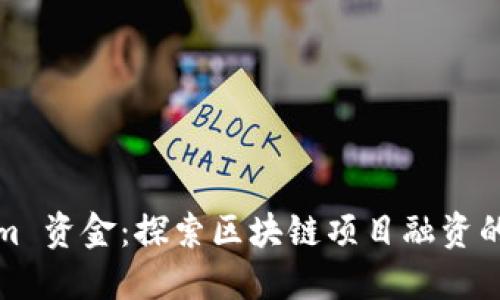 Tokenim 资金:探索区块链项目融资的新途径