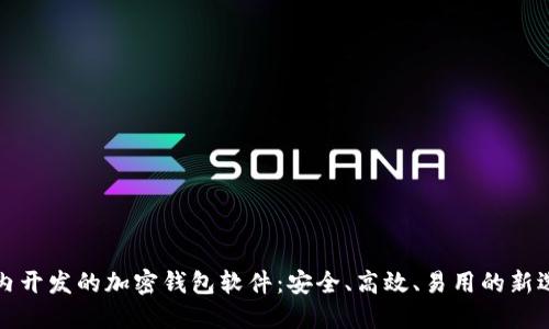 国内开发的加密钱包软件:安全、高效、易用的新选择