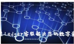 如何通过Ledger客服解决您的数字资产问