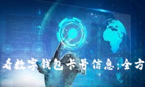 如何查看数字钱包卡号信息:全方位指南