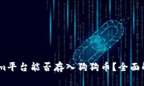 bilbiotiTokenim平台能否存入狗狗币?全面解析与实用指南