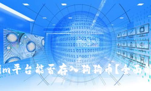 bilbiotiTokenim平台能否存入狗狗币?全面解析与实用指南