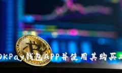 如何安装OKPay钱包APP并使用其购买双色