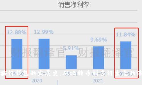 区块链钱包的发展史：从比特币到多链生态的演变