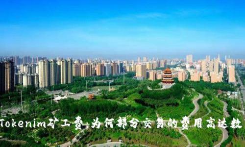 解密Tokenim矿工费:为何部分交易的费用高达数百元?