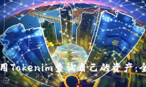 如何使用Tokenim查询自己的资产:全面指南