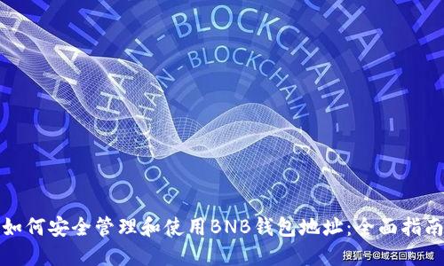如何安全管理和使用BNB钱包地址:全面指南
