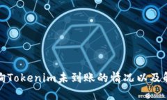 如何查询Tokenim未到账的情况以及解决