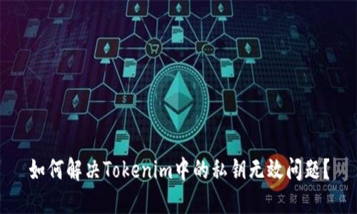 如何解决Tokenim中的私钥无效问题？