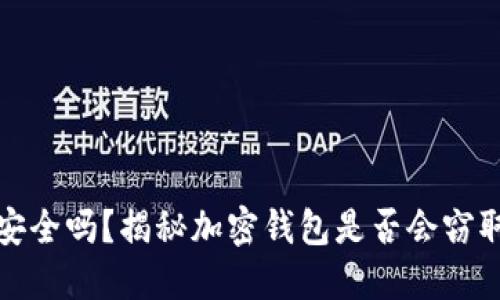 加密钱包安全吗?揭秘加密钱包是否会窃取用户私钥